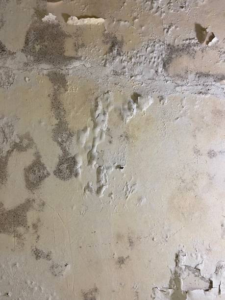 Water Damage Restoration in Exeter, PA
